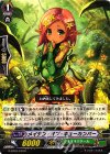 G-BT10/103 C メイデン・オブ・キューカンバー