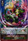 G-FC01/048 RR 聖樹竜 マルチビタミン・ドラゴン