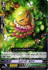  G-TD03/008 TD カコカワ・キウイ 