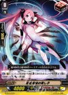G-TD15/018 TD 超絃理論の愛し子