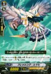 TD05/012 TD ブレッシング・オウル