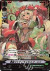 V-EB14/SV03 SVR 夢紡ぐラナンキュラスアーシャ(箔押し)