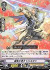  V-SS06/010 SDS 竪琴の騎士トリスタン 