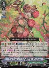 V-TD12/001 S-TD ラナンキュラスの花乙女アーシャ(RRR仕様)