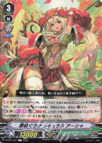 C夢紡ぐラナンキュラス アーシャ