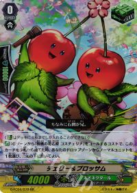 RRチェリー＆ブロッサム