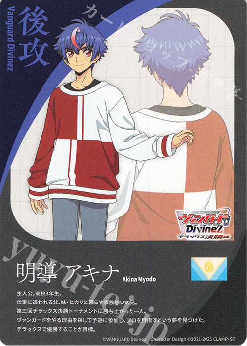 T エネルギー|明導 アキナ 販売 | [DZBT11] 武奏烈華 | ヴァン