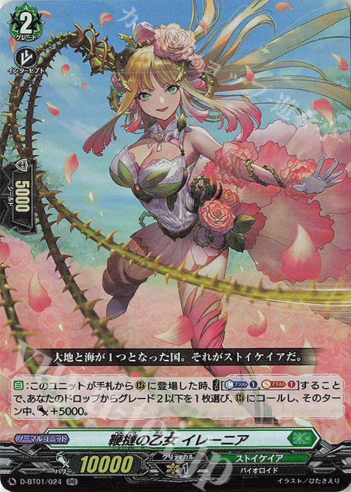 【傷】 RR 鞭撻の乙女 イレーニア | 販売 | [DBT01] 五大世紀の黎明 | ヴァンガード
