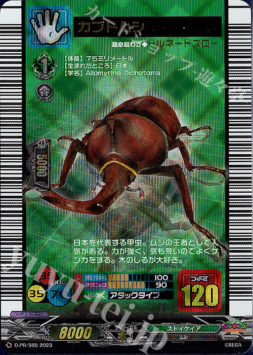 PR カブトムシ(箔押し) | 買取 | DPR/501〜DPR/600 | ヴァンガード