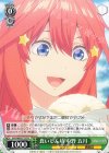 5HY/W83-T73 TD 食いしん坊 中野 五月