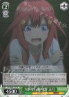  5HY/W83-T77 TD 大胆な行動 中野 五月 
