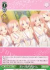  5HY/W83-059 U 思い出のアルバム 