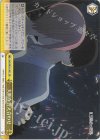 5HY/W101-021 CR 大胆な答え合わせ 