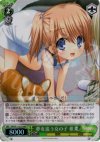 KW/W11-027R RRR 夢を追う女の子 椎菜