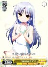 AB/WE10-10 C 水着のかなで
