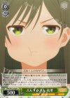 AMG/W121-029 C ぷんすかぷん 夜重