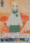  AMG/W121-089S SR 松ヶ崎花蓮 
