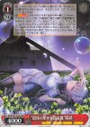ANM/W138-053 RR “泡沫の星々を巡る風”陽彩