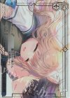 ANM/W138-099R RRR 長い冒険と夢の終わり(箔押し入り)