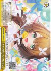 AOH/W127-024 CR キャンディのように甘く