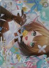 AOH/W127-024EX RRR+ キャンディのように甘く(箔押し入り)