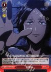  AOT/S50-080 U 女神様 