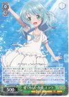  ARI/S103-019 RR 愛くるしい少女 ミュウ 