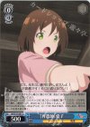 ARI/S103-081 U 【作農師】愛子