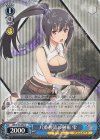  ARI/S103-084 U 八重樫流の剣術 雫 