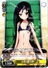  AW/S18-P02 PR 水着の黒雪姫 