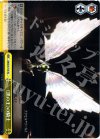 AW/S18-T10 TD 《黒の王》の騎士
