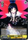  AW/S18-002 RR 黒雪姫 
