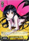 AW/S18-013 U 黄昏時の約束 黒雪姫
