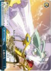 AW/S18-099 CR 心意の力