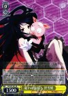  AW/S43-001 RR 憂いの面持ち 黒雪姫 