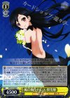  AW/S43-006 R 風に舞うドレス 黒雪姫 