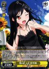 AW/S43-014 U 夏の1コマ 黒雪姫