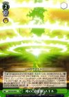 AW/S43-049 U 噂の《治癒師》スキル