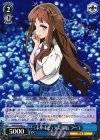 AW/S43-087 U 《ネガ・ネビュラス》副長 フーコ