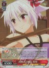 AYT/W110-T04R RRR 肉体への順応 祭里