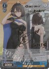 AZL/S102-T09SP SP ボルチモア(サイン入り)