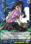 BM/S15-076SP SP 猫に魅せられた少女 羽川翼(サイン入り)