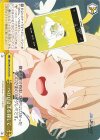 BAV/W129-018 CR ペロロさまを探して
