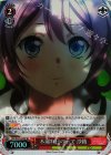  BD/W47-035S SR 木漏れ日の下で 沙綾 