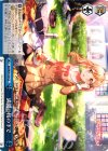  BD/W54-100 CC 満開の桜の下で 