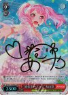 BD/W54-054SPMa SPM “直伝ポーズっ☆”丸山彩(サイン入り)