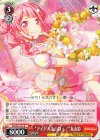  BD/W63-055 R “アイドル丸山彩っ!”丸山彩 