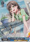 BD/W63-079SPa SP “うさぎに見えるもの”花園たえ(サイン入り)