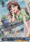  BD/W63-079SPb SP “うさぎに見えるもの”花園たえ(サイン入り) 