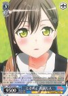 BD/W73-093 C ときめく 花園たえ